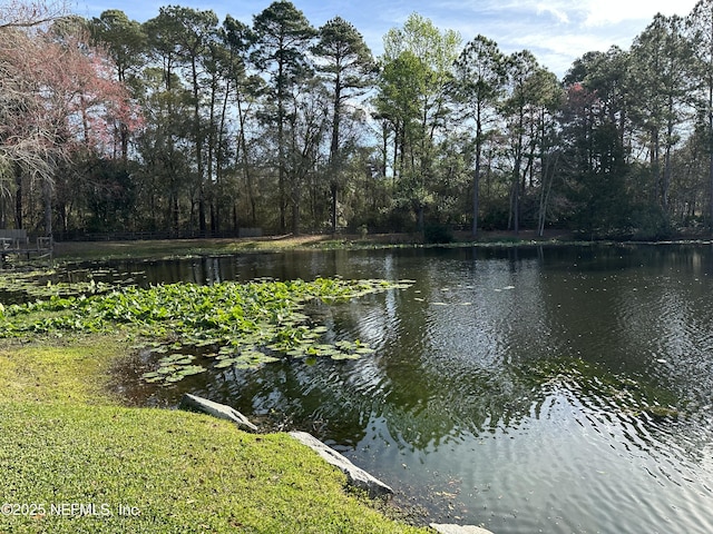 view of water feature