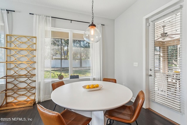 dining room with dark wood-type flooring and ceiling fan