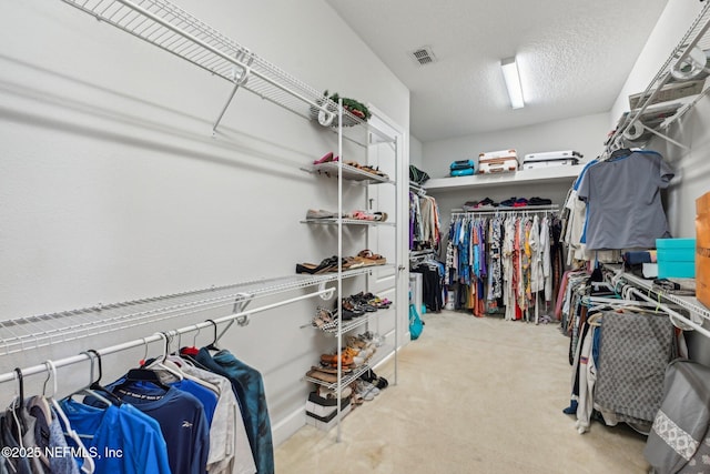 spacious closet featuring light colored carpet