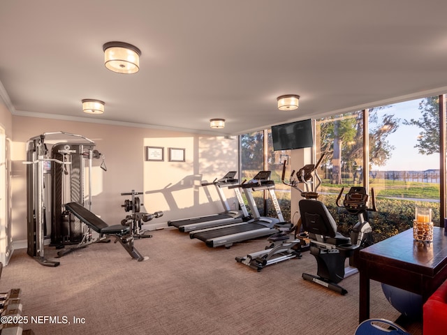 gym featuring a wall of windows, ornamental molding, and carpet flooring