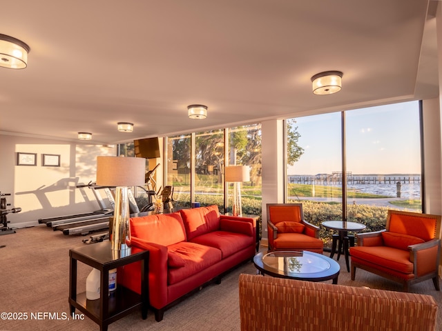 living room with a wall of windows, carpet, and a water view