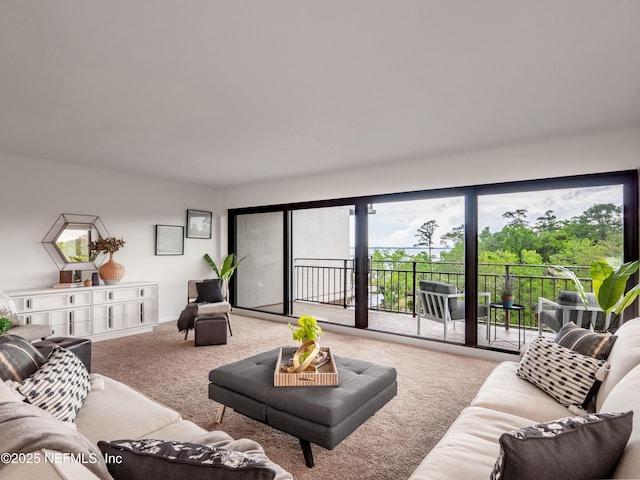 view of carpeted living room