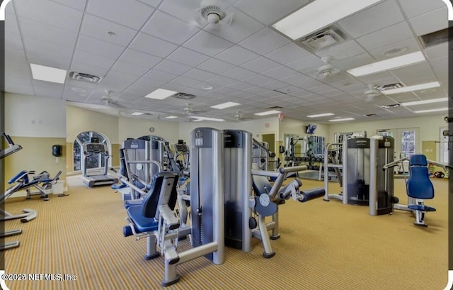 exercise room featuring carpet and a drop ceiling