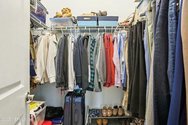 view of spacious closet