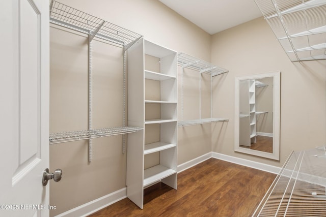 walk in closet with dark hardwood / wood-style floors