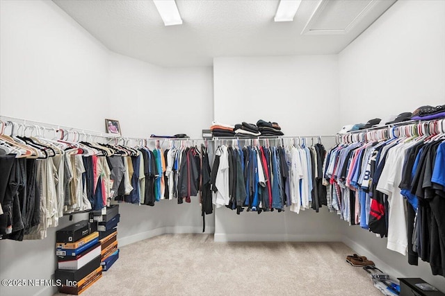 spacious closet with carpet