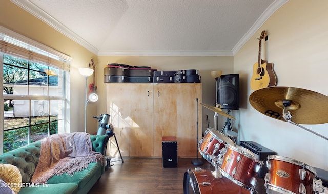 interior space featuring lofted ceiling, ornamental molding, dark hardwood / wood-style floors, and a textured ceiling