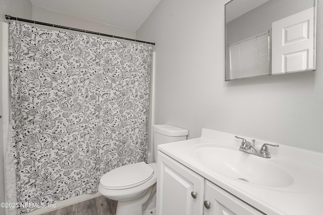 bathroom featuring vanity, wood-type flooring, a textured ceiling, and toilet