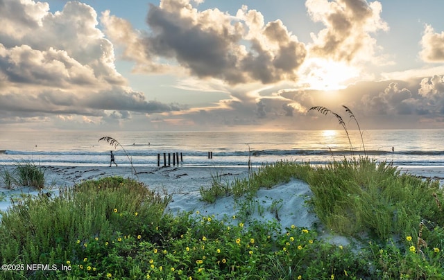 property view of water featuring a beach view