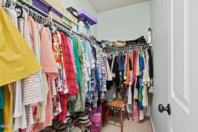 spacious closet with carpet floors