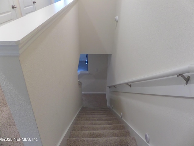 stairs featuring carpet flooring