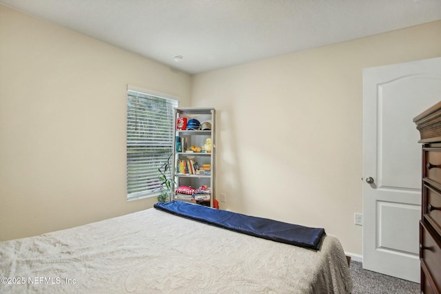 bedroom featuring carpet flooring