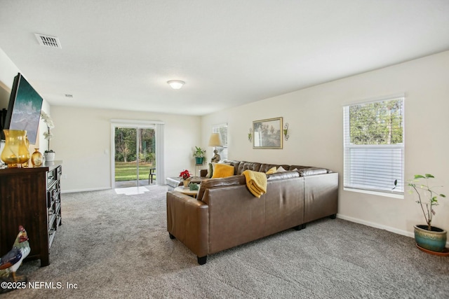 carpeted living room with a wealth of natural light