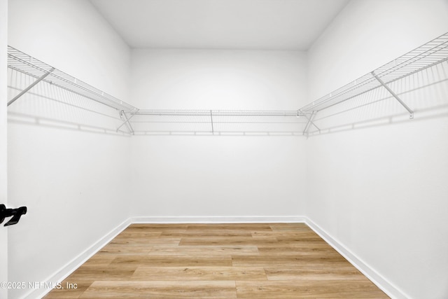 walk in closet featuring light wood-type flooring