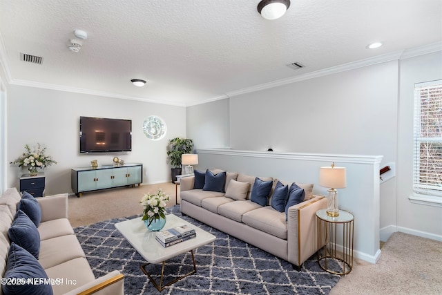 carpeted living room featuring crown molding and a textured ceiling