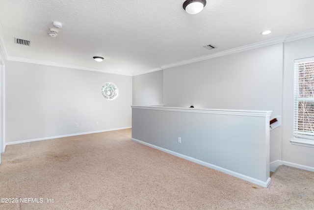 carpeted empty room with crown molding and a textured ceiling