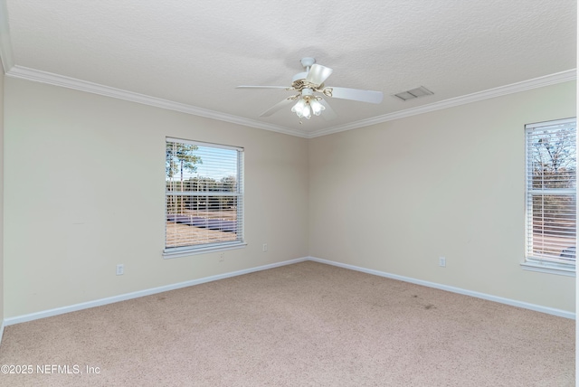 carpeted empty room featuring crown molding, ceiling fan, and a textured ceiling