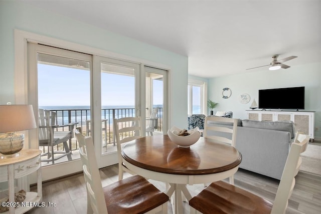 dining area featuring light hardwood / wood-style flooring and ceiling fan