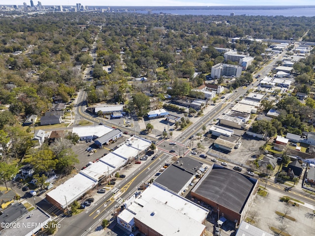 bird's eye view