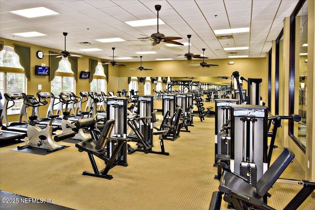 gym featuring light colored carpet and a paneled ceiling