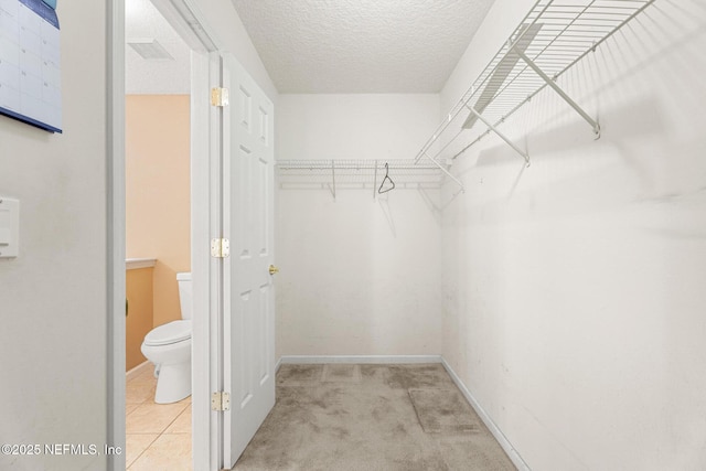 spacious closet with light colored carpet