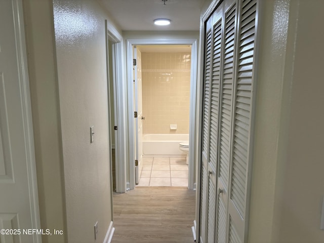 hall with light hardwood / wood-style flooring