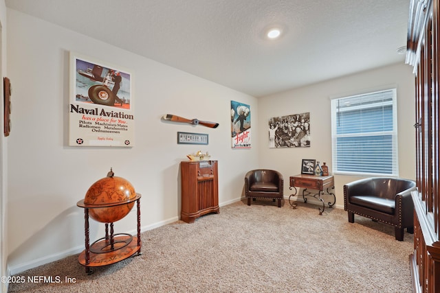 living area featuring a textured ceiling and carpet