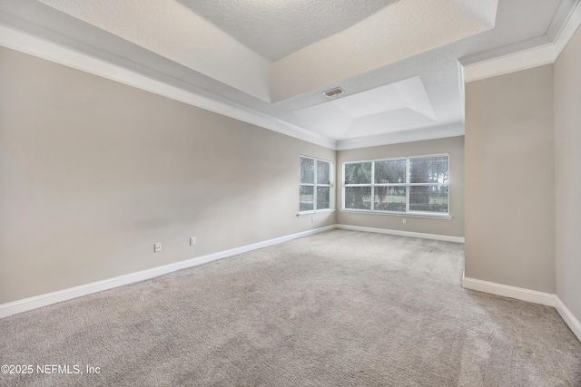 spare room with carpet, baseboards, a tray ceiling, and a textured ceiling