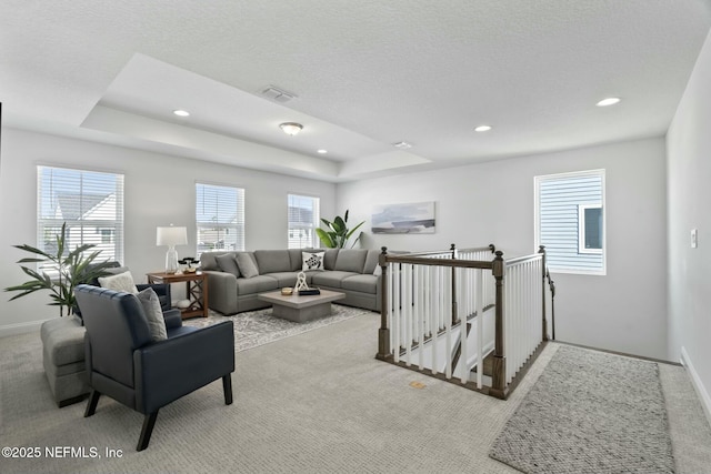 living room featuring light colored carpet and a raised ceiling