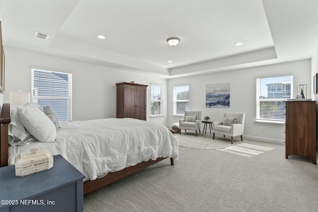 bedroom featuring light colored carpet and a raised ceiling