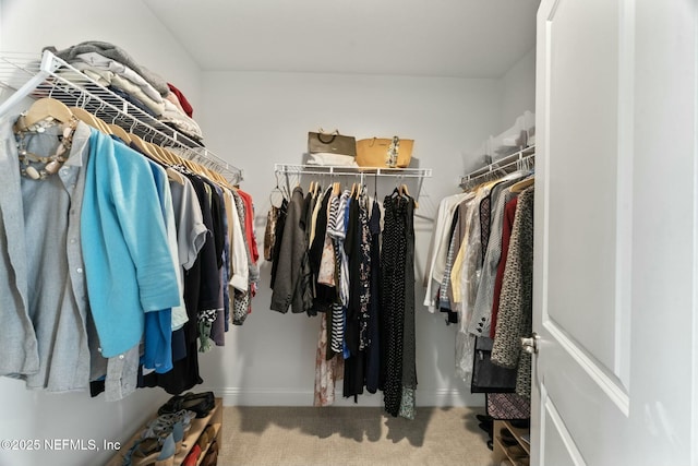 walk in closet with carpet