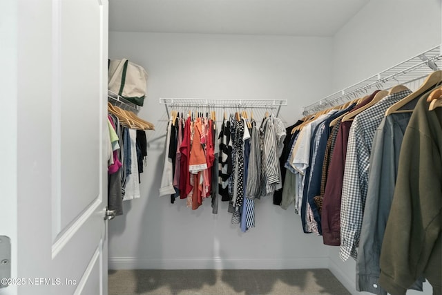 spacious closet with carpet flooring