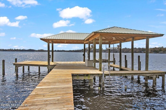 dock area with a water view