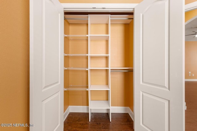 view of closet