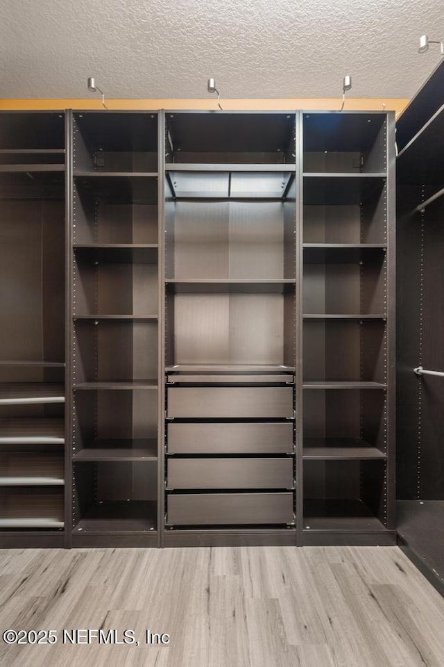 walk in closet with wood-type flooring