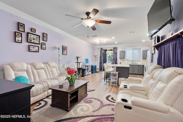 living room featuring sink, a textured ceiling, ornamental molding, ceiling fan, and light hardwood / wood-style floors