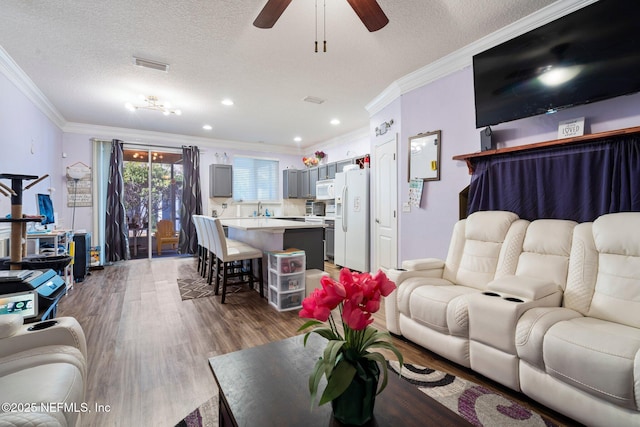 living room featuring sink, ornamental molding, ceiling fan, light hardwood / wood-style floors, and a textured ceiling