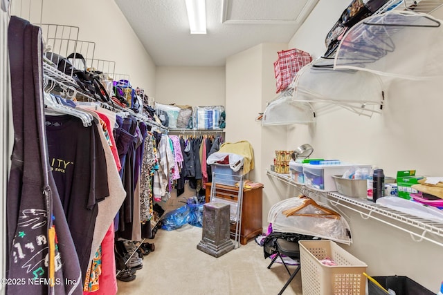 spacious closet with carpet