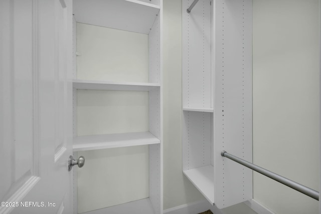 view of spacious closet