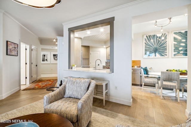 living area with sink, crown molding, and light hardwood / wood-style flooring