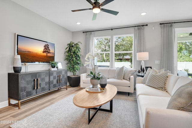 living room with ceiling fan and light hardwood / wood-style floors