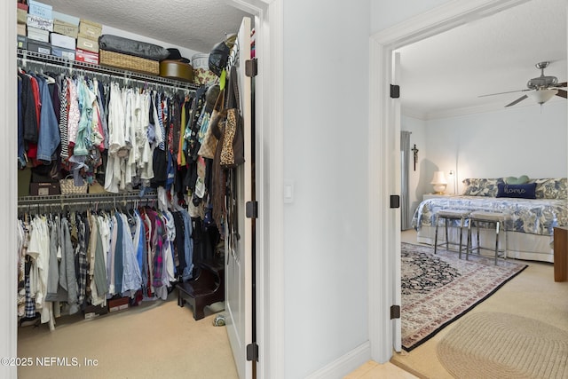 spacious closet featuring carpet flooring and ceiling fan