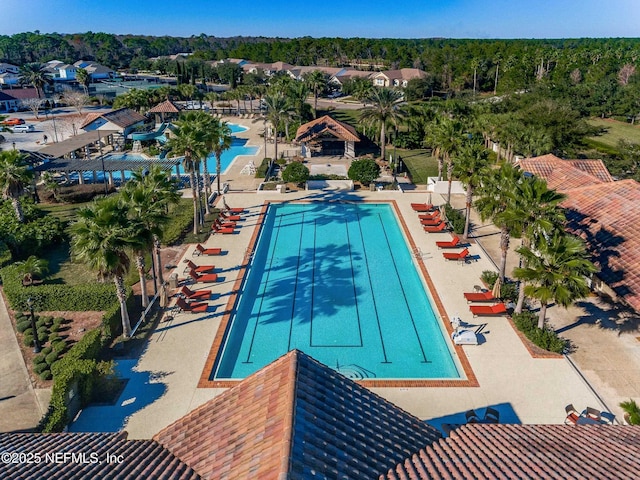 view of swimming pool featuring a patio