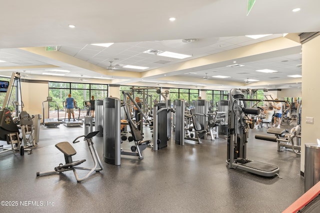 gym featuring a drop ceiling, expansive windows, and a healthy amount of sunlight