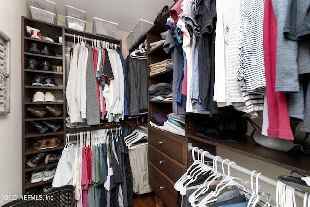 walk in closet featuring wood-type flooring