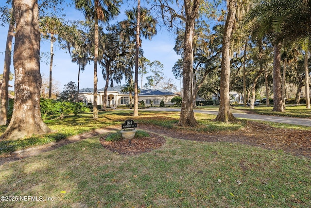 view of front of home featuring a front yard