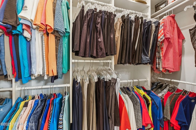 view of spacious closet