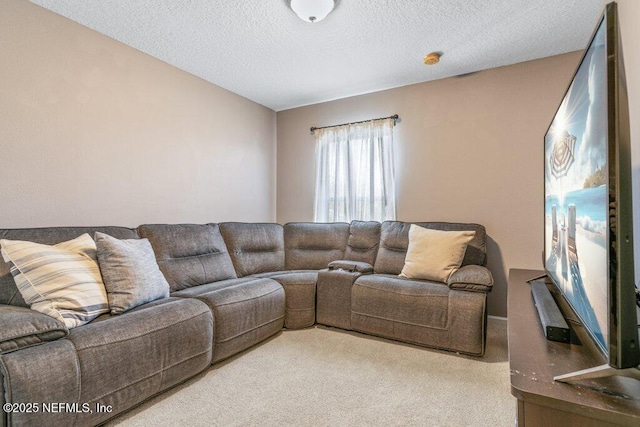 living room featuring a textured ceiling and carpet