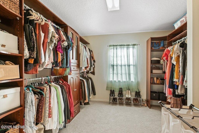 spacious closet featuring light colored carpet