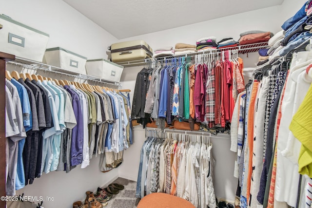 spacious closet with carpet floors